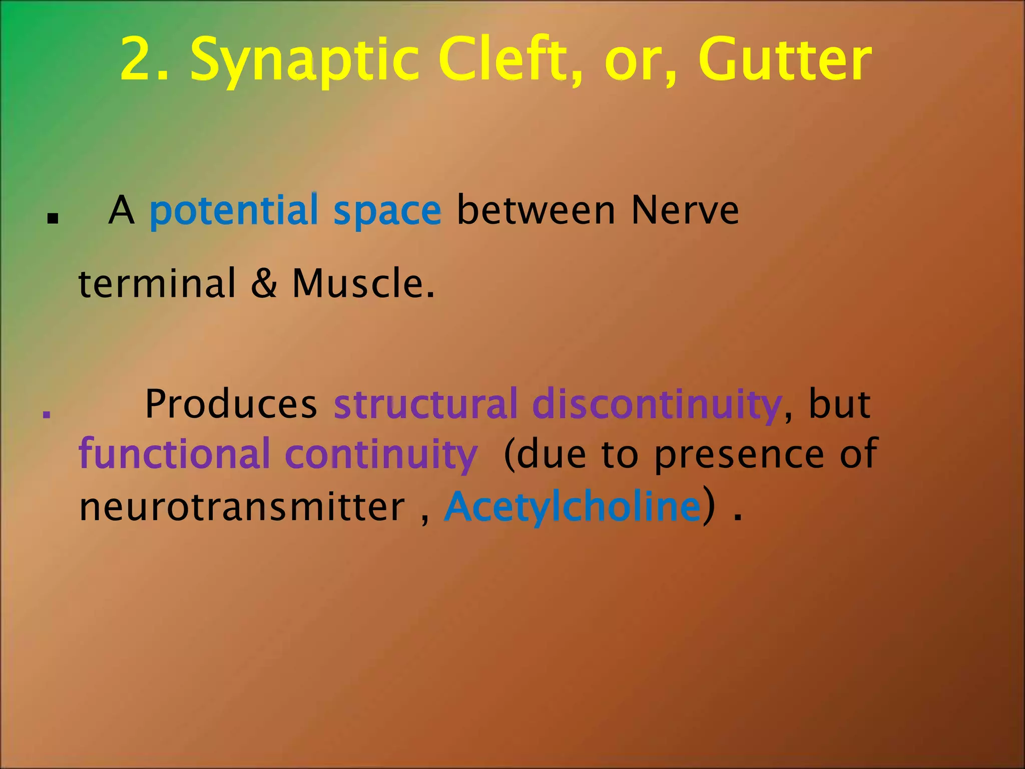 5. NEURO - MUSCULAR JUNCTION (NMJ) - DR. KHAN & FR. INDU.ppt