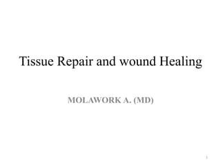 Tissue Repair and wound Healing
MOLAWORK A. (MD)
1
 