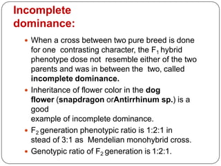 5._PRINCIPLES_OF_INHERITANCE_AND_VARIATION.pptx
