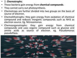 • 2. Chemotrophs:
• Those bacteria gain energy from chemical compounds.
• They cannot carry out photosynthesis.
• Chemotrops are further divided into two groups on the basis of
source of electron.
• Chemolithotrophs: they gain energy from oxidation of chemical
compound and reduces inorganic compounds such as NH3 as
electron source. Eg. Nitrosomonas.
• Chemoorganotrophs: they gain energy from chemical
compounds and uses organic compound such as glucose and
amino acids as source of electron. eg. Pseudomonas
pseudoflava.
 