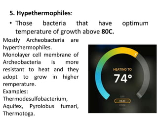5. Hypethermophiles:
• Those bacteria that have optimum
temperature of growth above 80C.
Mostly Archeobacteria are
hyperthermophiles.
Monolayer cell membrane of
Archeobacteria is more
resistant to heat and they
adopt to grow in higher
remperature.
Examples:
Thermodesulfobacterium,
Aquifex, Pyrolobus fumari,
Thermotoga.
 