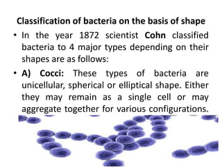 Classification of bacteria on the basis of shape
• In the year 1872 scientist Cohn classified
bacteria to 4 major types depending on their
shapes are as follows:
• A) Cocci: These types of bacteria are
unicellular, spherical or elliptical shape. Either
they may remain as a single cell or may
aggregate together for various configurations.
They are as follows:
 
