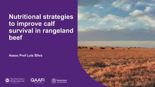 1
Assoc Prof Luis Silva
Nutritional strategies
to improve calf
survival in rangeland
beef
 