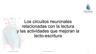 Los circuitos neuronales
relacionadas con la lectura
y las actividades que mejoran la
lecto-escritura
1 de octubre de 2022 Tokuhama-Espinosa 13
 