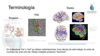 Terminología
Soon-Beom HongAndrew ZaleskyLuca CocchiAlex FornitoEun-Jung ChoiHo-Hyun KimJeong-Eun SuhChang-Dai KimJae-Won
KimSoon-Hyung Yi - http://www.plosone.org/article/info%3Adoi%2F10.1371%2Fjournal.pone.0057831
National Geographic
https://www.youtube.com/watch?v=nvXuq9jRWKE
Sinapsis
Vias
Redes
Urban Child Institute
http://www.urbanchildinstitute.org/why-0-
3/baby-and-brain
Human Connectome
Project
http://www.humanconn
ectomeproject.org/
En la literatura ”vía" y "red" se utilizan indistintamente. A los efectos de este trabajo, la unión de
muchas vías crea una red. Redes múltiples producen "dominios".
 