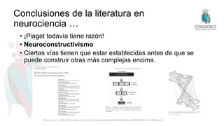 Conclusiones de la literatura en
neurociencia …
• ¡Piaget todavía tiene razón!
• Neuroconstructivismo
• Ciertas vías tienen que estar establecidas antes de que se
puede construir otras más complejas encima.
Sirois, et al., 2008 (http://www.cbcd.bbk.ac.uk/people/scientificstaff/denis/PDFs/Neuro%20precis)
 