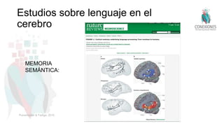 Estudios sobre lenguaje en el
cerebro
MEMORIA
SEMÁNTICA:
Pulvermüller & Fadiga, 2010
 