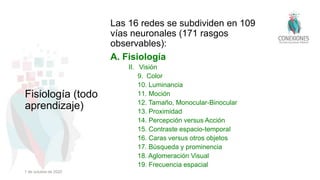 Las 16 redes se subdividen en 109
vías neuronales (171 rasgos
observables):
A. Fisiología
II. Visión
9. Color
10. Luminancia
11. Moción
12. Tamaño, Monocular-Binocular
13. Proximidad
14. Percepción versus Acción
15. Contraste espacio-temporal
16. Caras versus otros objetos
17. Búsqueda y prominencia
18. Aglomeración Visual
19. Frecuencia espacial
Fisiología (todo
aprendizaje)
1 de octubre de 2022
 