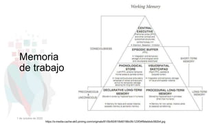 Memoria
de trabajo
https://s-media-cache-ak0.pinimg.com/originals/81/0b/60/810b60186c0fc123f34f9debbdc582b4.jpg
1 de octubre de 2022
 