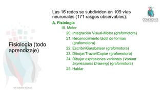Las 16 redes se subdividen en 109 vías
neuronales (171 rasgos observables):
A. Fisiología
III. Motor
20. Integración Visual-Motor (grafomotora)
21. Reconocimiento táctil de formas
(grafomotora)
22. Escribir/Garabatear (grafomotora)
23. Dibujar/Trazar/Copiar (grafomotora)
24. Dibujar expresiones variantes (Variant
Expressions Drawing) (grafomotora)
25. Hablar
Fisiología (todo
aprendizaje)
1 de octubre de 2022
 