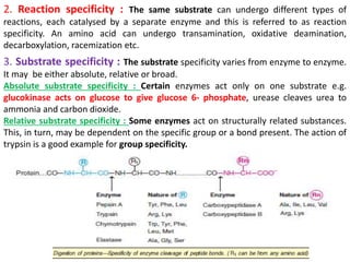 Group Specificity Example 5.ENZYMES.pptx