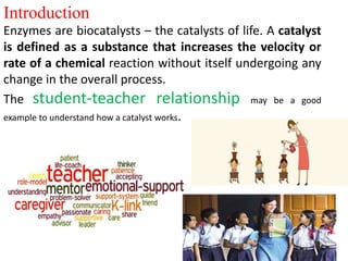 5.ENZYMES.pptx