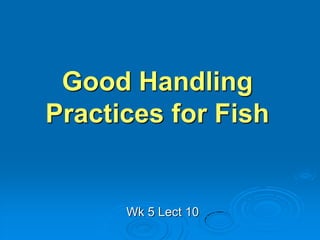 Good Handling
Practices for Fish
Wk 5 Lect 10
 