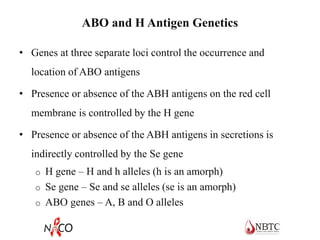 ABO and H Antigen Genetics
• Genes at three separate loci control the occurrence and
location of ABO antigens
• Presence or absence of the ABH antigens on the red cell
membrane is controlled by the H gene
• Presence or absence of the ABH antigens in secretions is
indirectly controlled by the Se gene
o H gene – H and h alleles (h is an amorph)
o Se gene – Se and se alleles (se is an amorph)
o ABO genes – A, B and O alleles
 