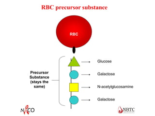 Glucose
Galactose
N-acetylglucosamine
Galactose
Precursor
Substance
(stays the
same)
RBC
RBC precursor substance
 