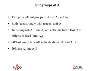 Subgroups of A
• Two principle subgroups of A are: A1 and A2
• Both react strongly with reagent anti-A
• To distinguish A1 from A2 red cells, the lectin Dolichos
biflorus is used (anti-A1)
• 80% of group A or AB individuals are A1 and A1B
• 20% are A2 and A2B
 