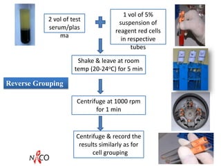 2 vol of test
serum/plas
ma
1 vol of 5%
suspension of
reagent red cells
in respective
tubes
Reverse Grouping
Centrifuge at 1000 rpm
for 1 min
Centrifuge & record the
results similarly as for
cell grouping
Shake & leave at room
temp (20-24oC) for 5 min
 