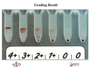 Grading Result
 