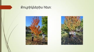 Քույրիկներիս հետ:
 