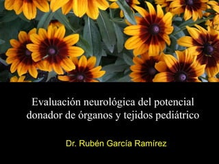 Evaluación neurológica del potencial
donador de órganos y tejidos pediátrico
Dr. Rubén García Ramírez
 