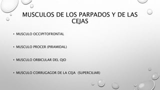 Musulo Procer MUSCULOS FACIALES.pptx
