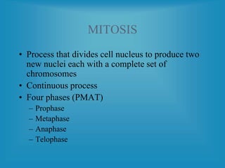 MITOSIS
• Process that divides cell nucleus to produce two
new nuclei each with a complete set of
chromosomes
• Continuous process
• Four phases (PMAT)
– Prophase
– Metaphase
– Anaphase
– Telophase
 