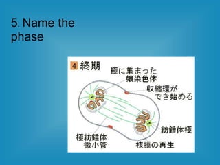 5. Name the
phase
 