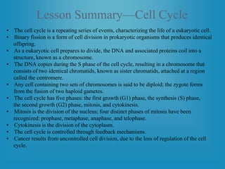 Lesson Summary—Cell Cycle
• The cell cycle is a repeating series of events, characterizing the life of a eukaryotic cell.
• Binary fission is a form of cell division in prokaryotic organisms that produces identical
offspring.
• As a eukaryotic cell prepares to divide, the DNA and associated proteins coil into a
structure, known as a chromosome.
• The DNA copies during the S phase of the cell cycle, resulting in a chromosome that
consists of two identical chromatids, known as sister chromatids, attached at a region
called the centromere.
• Any cell containing two sets of chromosomes is said to be diploid; the zygote forms
from the fusion of two haploid gametes.
• The cell cycle has five phases: the first growth (G1) phase, the synthesis (S) phase,
the second growth (G2) phase, mitosis, and cytokinesis.
• Mitosis is the division of the nucleus; four distinct phases of mitosis have been
recognized: prophase, metaphase, anaphase, and telophase.
• Cytokinesis is the division of the cytoplasm.
• The cell cycle is controlled through feedback mechanisms.
• Cancer results from uncontrolled cell division, due to the loss of regulation of the cell
cycle.
 