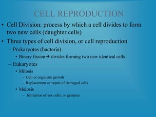 CELL REPRODUCTION
• Cell Division: process by which a cell divides to form
two new cells (daughter cells)
• Three types of cell division, or cell reproduction
– Prokaryotes (bacteria)
• Binary fission divides forming two new identical cells
– Eukaryotes
• Mitosis
– Cell or organism growth
– Replacement or repair of damaged cells
• Meiosis
– formation of sex cells, or gametes
 