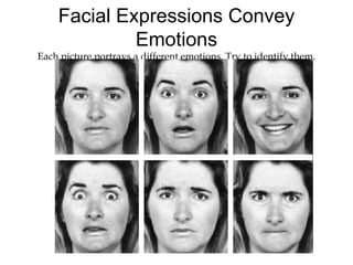 Facial Expressions Convey
Emotions
Each picture portrays a different emotions. Try to identify them.
 