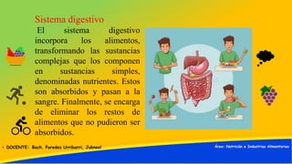 Sistema digestivo
El sistema digestivo
incorpora los alimentos,
transformando las sustancias
complejas que los componen
en...