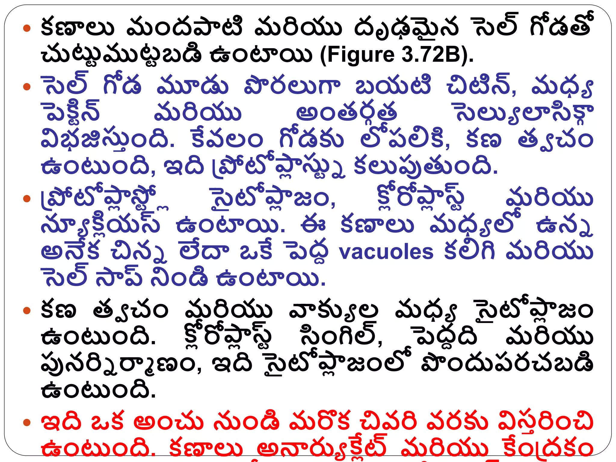  క్ణాలు మందరటి మరియు దృఢమైన సెల్ గోడతో
చుట్టుముటుబడి ఉంటాయి (Figure 3.72B).
 సెల్ గోడ మూడు పరలుగా బయటి చిటిన్, మధ్ే
పెకి ున్ మరియు అంత్రాత్ సెలుే లారకాా
విభజిసుింది. కేవలం గోడక్క లోరలికి, క్ణ త్వ చం
ఉంట్టంది, ఇది గ్రపోటోర
ి సుుా క్లుపుతుంది.
 గ్రపోటోర
ి స్ప
ు ో సైటోర
ి జం, స్
ోిరోర
ి స్
స్ు మరియు
న్యే కి ియస్ ఉంటాయి. ఈ క్ణాలు మధ్ే లో ఉనా
అనేక్ చినా లేదా ఒకే పెదె vacuoles క్లిగి మరియు
సెల్ సాప్ నిండి ఉంటాయి.
 క్ణ త్వ చం మరియు వాక్కే ల మధ్ే సైటోర
ి జం
ఉంట్టంది. స్
ోిరోర
ి స్ు రంగిల్, పెదెది మరియు
పునరిా ర్మా ణం, ఇది సైటోర
ి జంలో పందురరచబడి
ఉంట్టంది.
 ఇది ఒక్ అంచు నుండి మరొక్ చివరి వరక్క విసిరించి
ఉంట్టంది. క్ణాలు అన్నరుే కే ిట్ మరియు కేంగ్రదక్ం
 