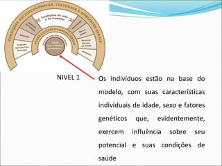 Os indivíduos estão na base do
modelo, com suas características
individuais de idade, sexo e fatores
genéticos que, evidentemente,
exercem influência sobre seu
potencial e suas condições de
saúde
NIVEL 1
 