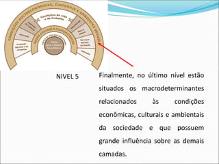 Finalmente, no último nível estão
situados os macrodeterminantes
relacionados às condições
econômicas, culturais e ambientais
da sociedade e que possuem
grande influência sobre as demais
camadas.
NIVEL 5
 