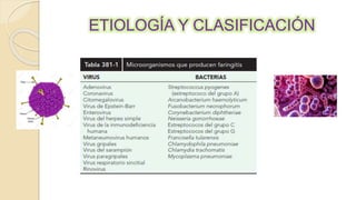 ETIOLOGÍA Y CLASIFICACIÓN
 