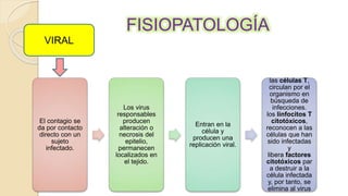 FISIOPATOLOGÍA
El contagio se
da por contacto
directo con un
sujeto
infectado.
Los virus
responsables
producen
alteración o
necrosis del
epitelio,
permanecen
localizados en
el tejido.
Entran en la
célula y
producen una
replicación viral.
las células T,
circulan por el
organismo en
búsqueda de
infecciones.
los linfocitos T
citotóxicos,
reconocen a las
células que han
sido infectadas
y
libera factores
citotóxicos par
a destruir a la
célula infectada
y, por tanto, se
elimina al virus
VIRAL
 
