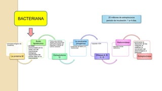 • principal antígeno de
virulencia
La proteína M
•afinidad
pronunciada por la
unión con las
membranas
biológicas;
responsable del
primer paso en la
colonización
Ácido
lipoteicoico
• Tóxica para distintas
células como leucocitos
polimorfonucleares, las
plaquetas y células de
cultivos celulares.
Estreptolisina
O
• producción de fiebre y la
citotoxicidad.
La exotoxina
pirogénica • degradan ADN
DNasas A, B,
C, D
• degrada el ácido
hialurónico
Hialuronidasa •promueve la
disolución de los
coágulos al
catalizar la
conversión del
plasminógeno a
plasmina
Estreptocinasa
BACTERIANA 20 millones de estreptococos
periodo de incubación: 1 a 4 días.
 