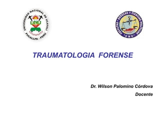 Dr. Wilson Palomino Córdova
Docente
TRAUMATOLOGIA FORENSE
 