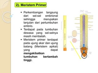 5. Anatomi Tumbuhan; Jaringan 2.pptx