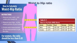 Waist to Hip ratio
 