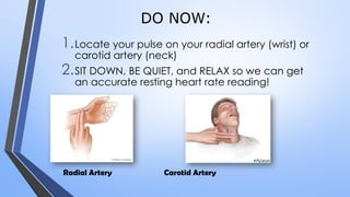 DO NOW:
1.Locate your pulse on your radial artery (wrist) or
carotid artery (neck)
2.SIT DOWN, BE QUIET, and RELAX so we can get
an accurate resting heart rate reading!
Radial Artery Carotid Artery
 