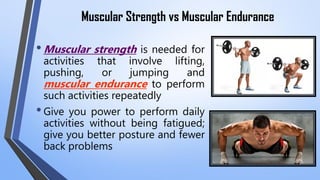 Muscular Strength vs Muscular Endurance
•Muscular strength is needed for
activities that involve lifting,
pushing, or jumping and
muscular endurance to perform
such activities repeatedly
•Give you power to perform daily
activities without being fatigued;
give you better posture and fewer
back problems
 