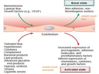 smooth muscle
tone
smooth muscle
contraction
 