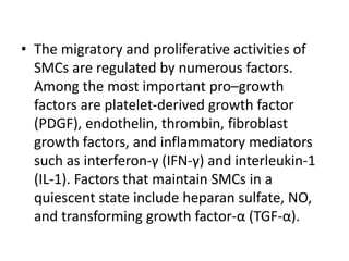 • The migratory and proliferative activities of
SMCs are regulated by numerous factors.
Among the most important pro–growth
factors are platelet-derived growth factor
(PDGF), endothelin, thrombin, fibroblast
growth factors, and inflammatory mediators
such as interferon-γ (IFN-γ) and interleukin-1
(IL-1). Factors that maintain SMCs in a
quiescent state include heparan sulfate, NO,
and transforming growth factor-α (TGF-α).
 
