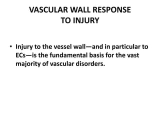 VASCULAR WALL RESPONSE
TO INJURY
• Injury to the vessel wall—and in particular to
ECs—is the fundamental basis for the vast
majority of vascular disorders.
 