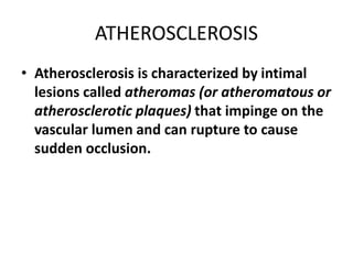 ATHEROSCLEROSIS
• Atherosclerosis is characterized by intimal
lesions called atheromas (or atheromatous or
atherosclerotic plaques) that impinge on the
vascular lumen and can rupture to cause
sudden occlusion.
 