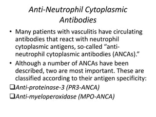 Anti-Neutrophil Cytoplasmic
Antibodies
• Many patients with vasculitis have circulating
antibodies that react with neutrophil
cytoplasmic antigens, so-called “anti-
neutrophil cytoplasmic antibodies (ANCAs).”
• Although a number of ANCAs have been
described, two are most important. These are
classified according to their antigen specificity:
Anti-proteinase-3 (PR3-ANCA)
Anti-myeloperoxidase (MPO-ANCA)
 