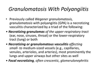 Granulomatosis With Polyangiitis
• Previously called Wegener granulomatosis,
granulomatosis with polyangiitis (GPA) is a necrotizing
vasculitis characterized by a triad of the following:
• Necrotizing granulomas of the upper-respiratory tract
(ear, nose, sinuses, throat) or the lower-respiratory
tract (lung) or both
• Necrotizing or granulomatous vasculitis affecting
small- to medium-sized vessels (e.g., capillaries,
venules, arterioles, and arteries), most prominently the
lungs and upper airways but other sites as well
• Focal necrotizing, often crescentic, glomerulonephritis
 