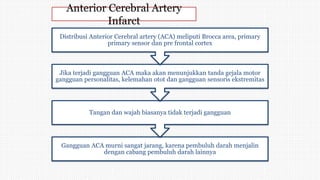Anterior Cerebral Artery
Infarct
Gangguan ACA murni sangat jarang, karena pembuluh darah menjalin
dengan cabang pembuluh darah lainnya
Tangan dan wajah biasanya tidak terjadi gangguan
Jika terjadi gangguan ACA maka akan menunjukkan tanda gejala motor
gangguan personalitas, kelemahan otot dan gangguan sensoris ekstremitas
Distribusi Anterior Cerebral artery (ACA) meliputi Brocca area, primary
primary sensor dan pre frontal cortex
 