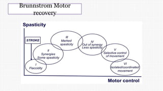 Brunnstrom Motor
recovery
 